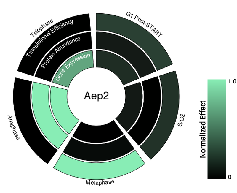 Circle plot not available