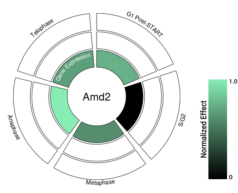 Circle plot not available