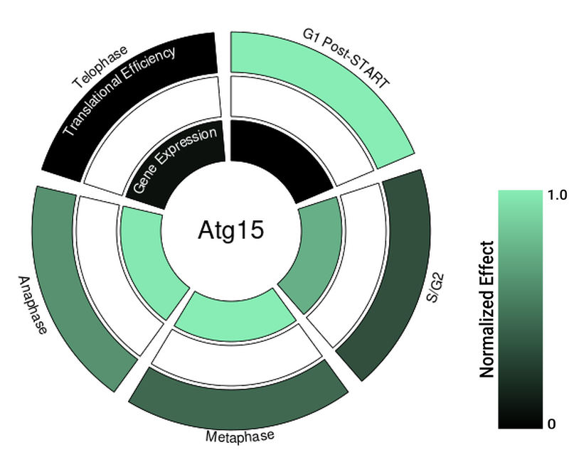 Circle plot not available