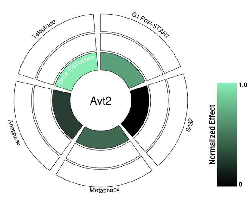 Circle plot not available