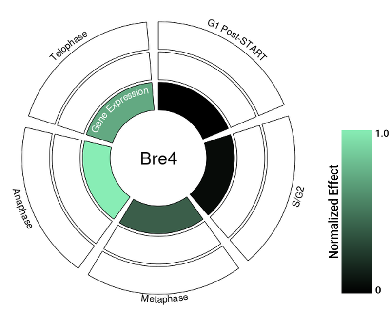 Circle plot not available