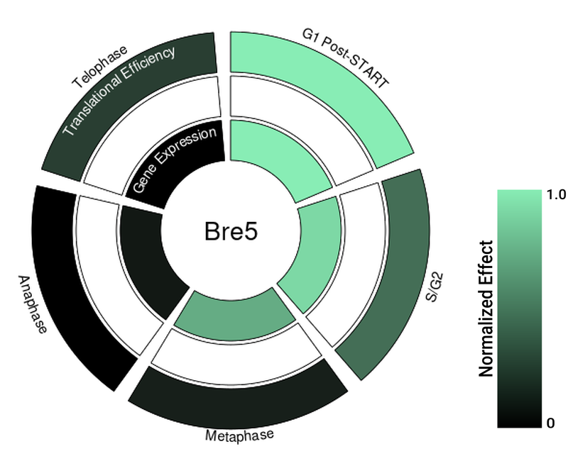 Circle plot not available
