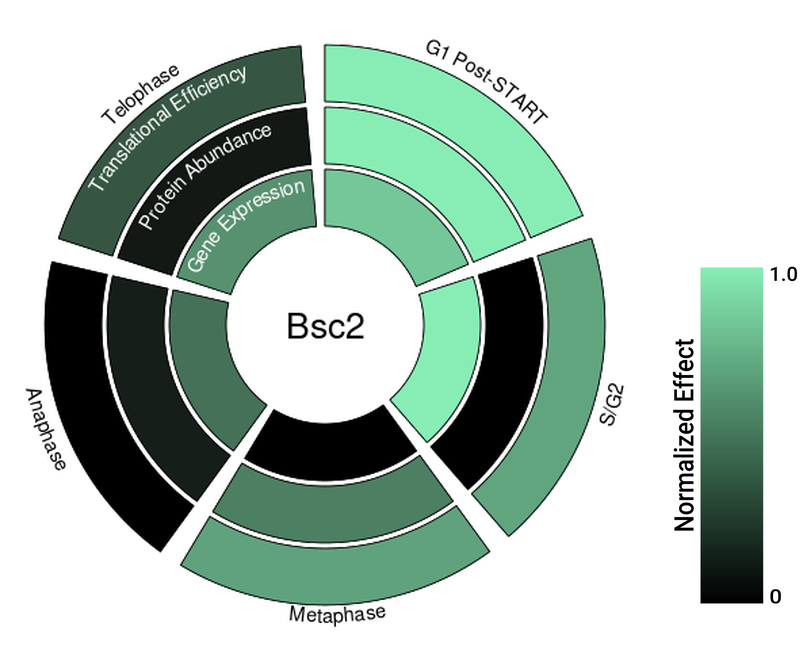 Circle plot not available