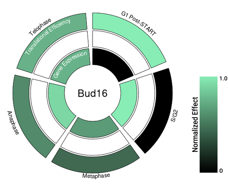 Circle plot not available