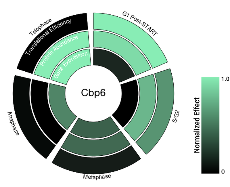 Circle plot not available