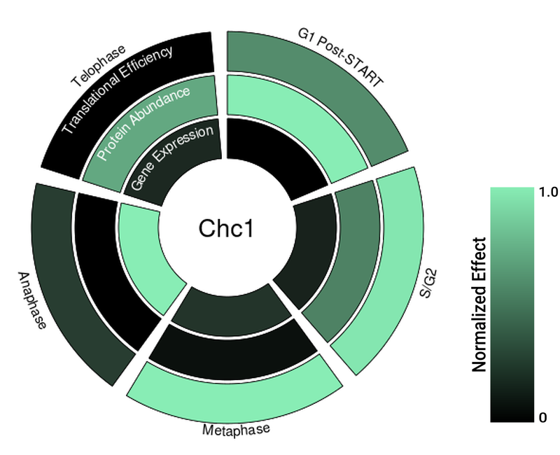 Circle plot not available