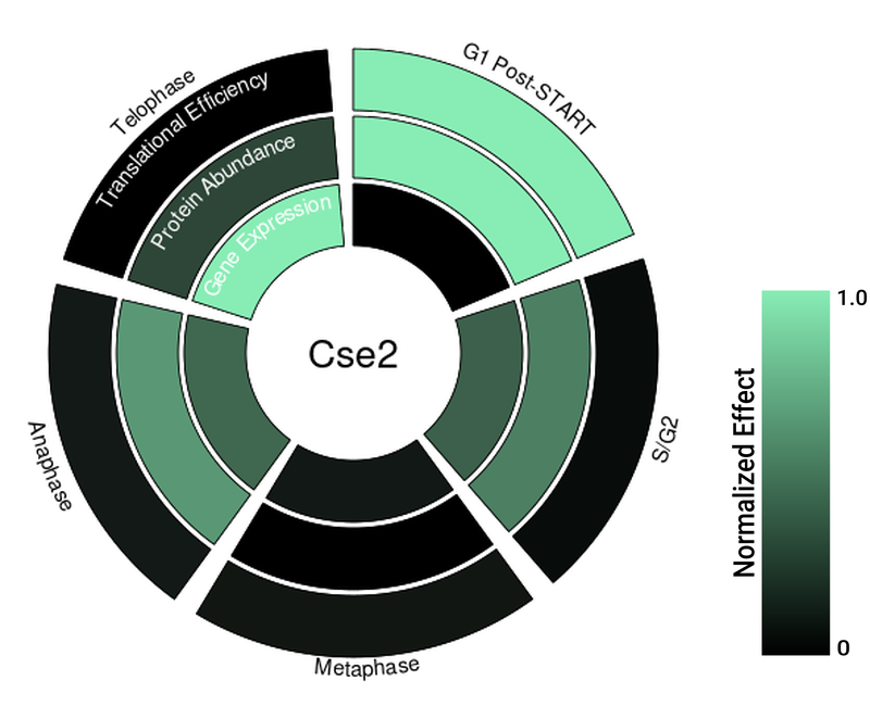 Circle plot not available