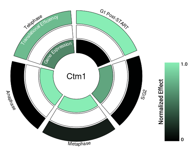 Circle plot not available