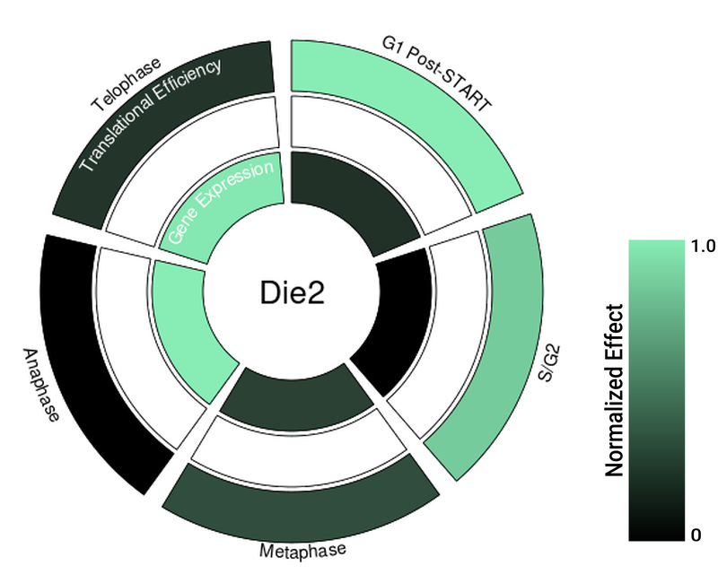 Circle plot not available