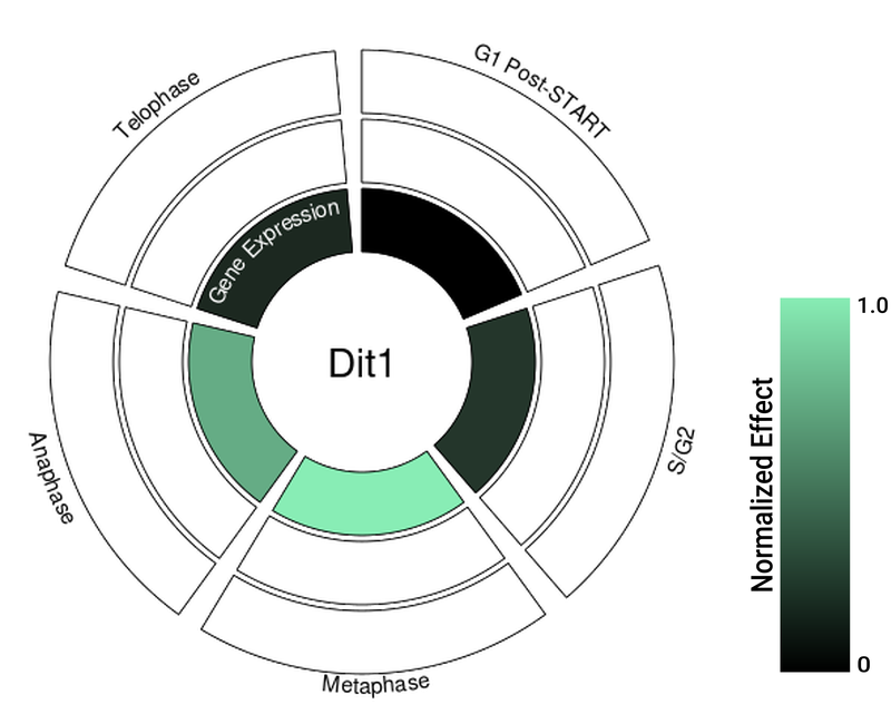 Circle plot not available