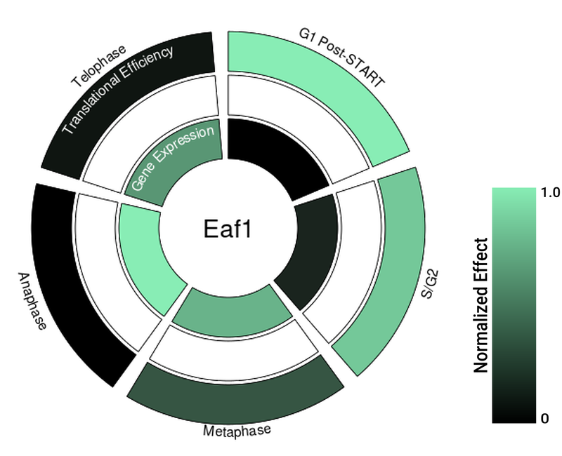 Circle plot not available