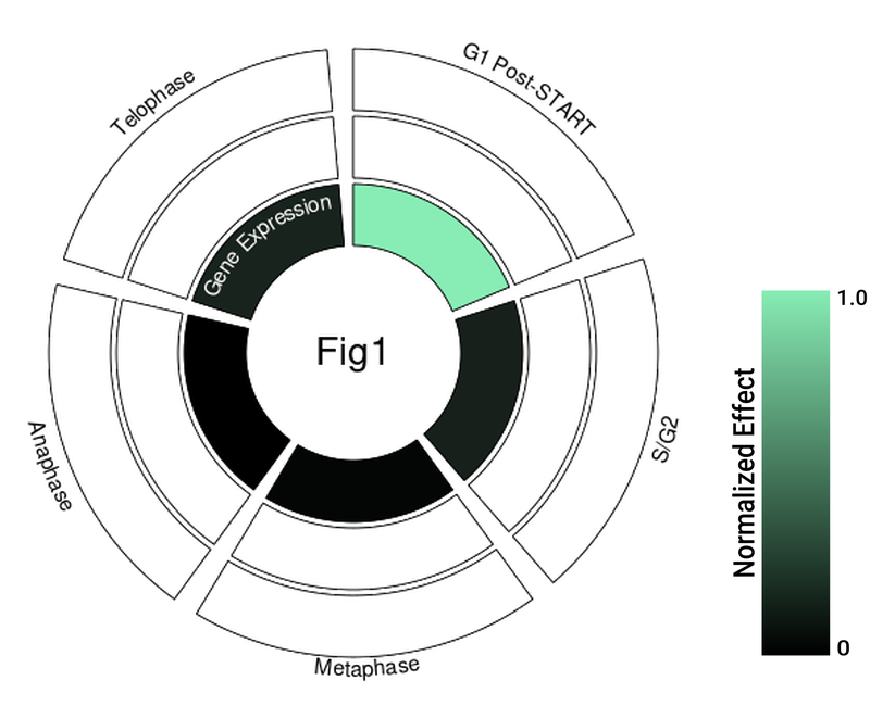 Circle plot not available