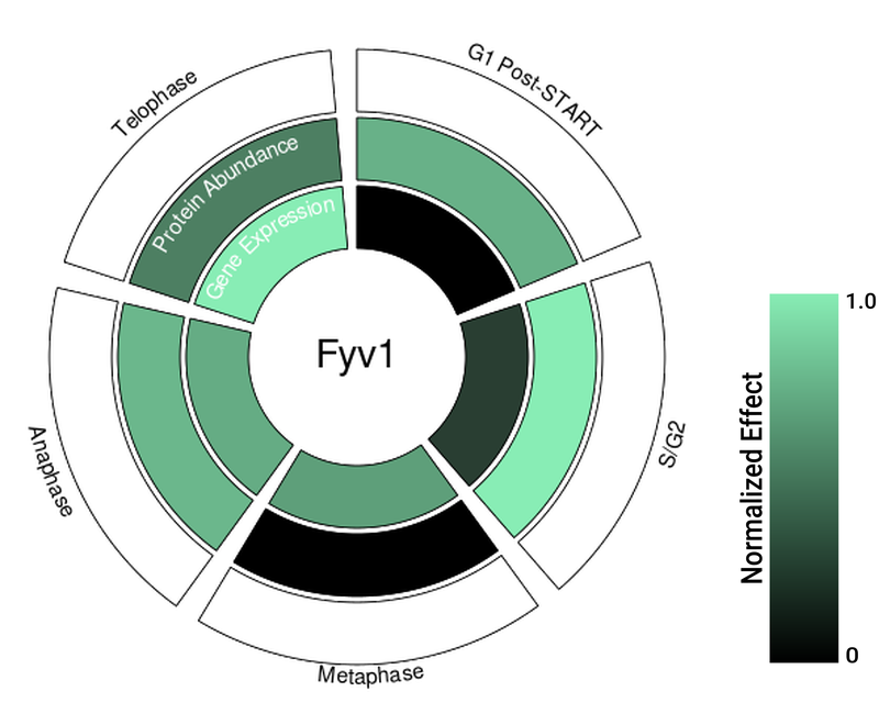 Circle plot not available