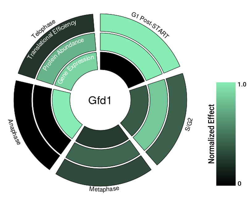 Circle plot not available