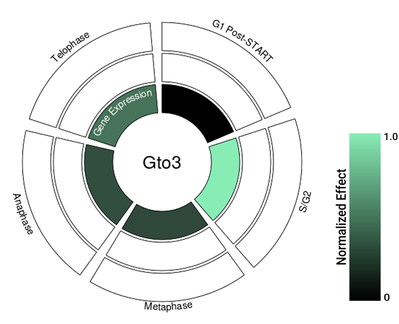 Circle plot not available