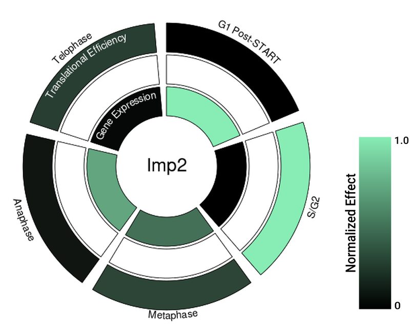 Circle plot not available