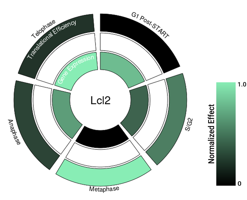 Circle plot not available