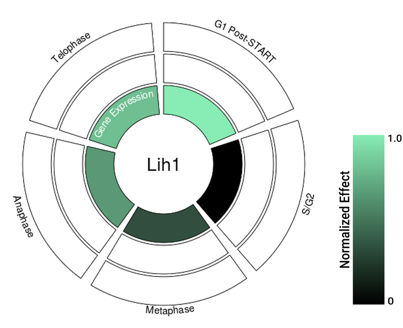 Circle plot not available