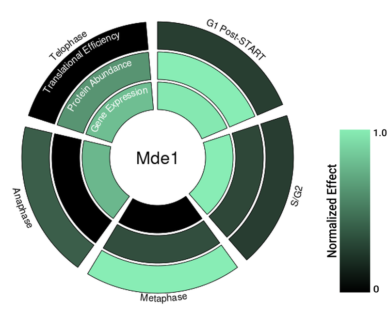 Circle plot not available