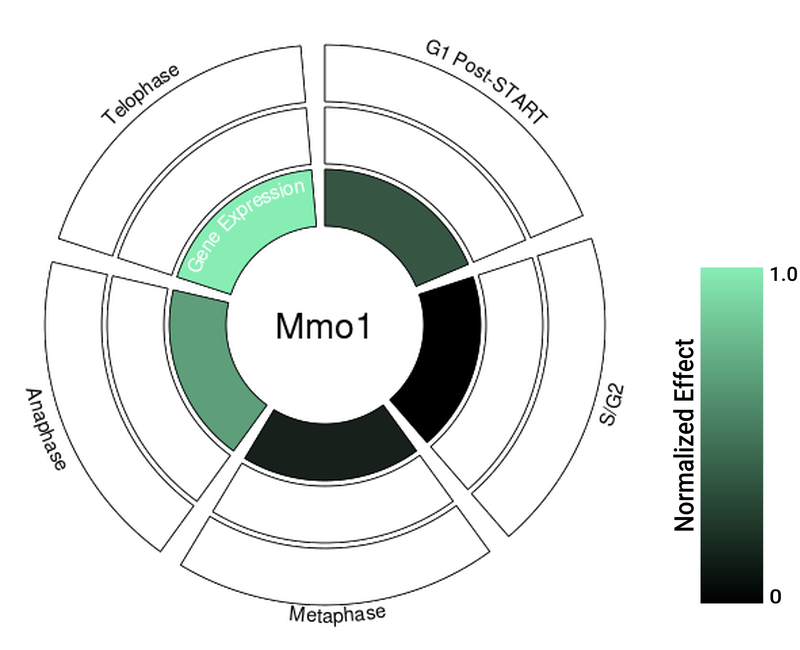 Circle plot not available