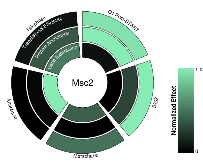 Circle plot not available