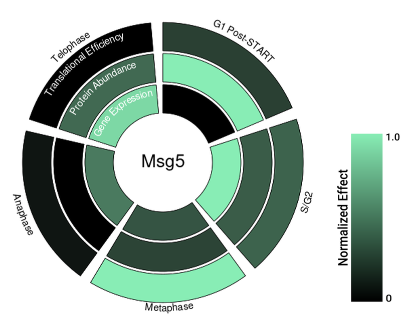Circle plot not available