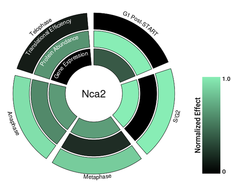 Circle plot not available