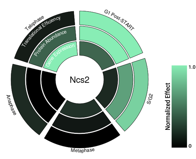 Circle plot not available