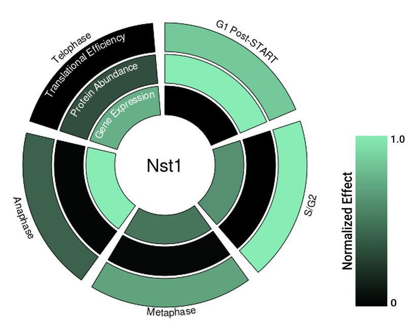 Circle plot not available