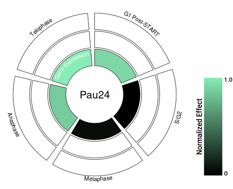 Circle plot not available