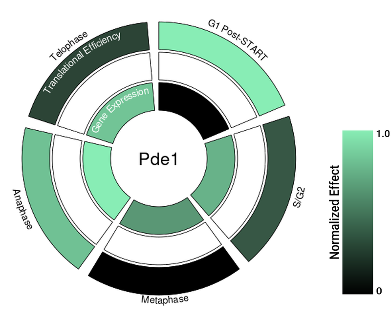 Circle plot not available