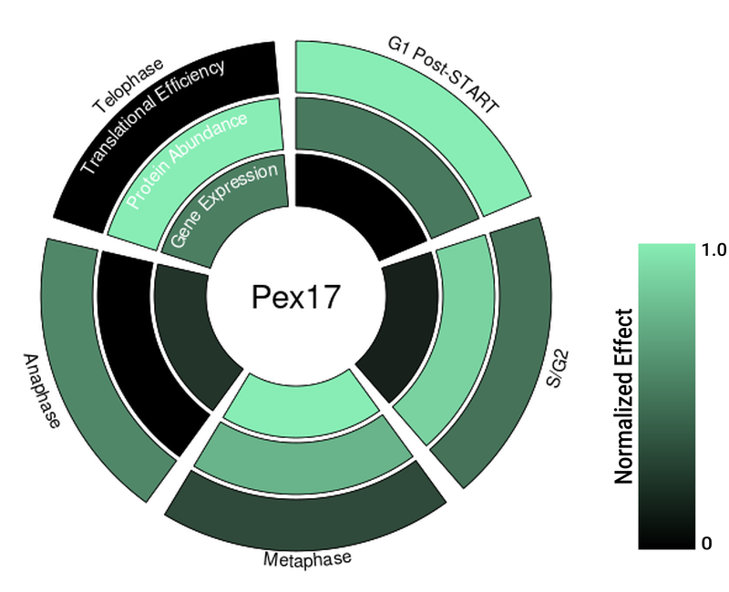 Circle plot not available