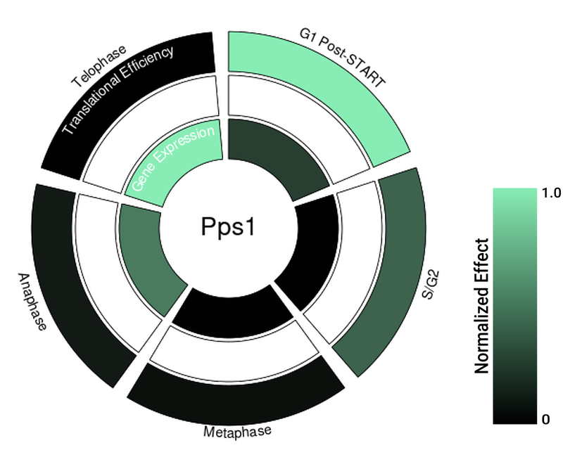 Circle plot not available