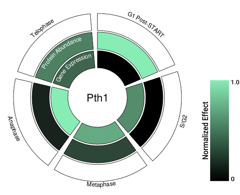 Circle plot not available