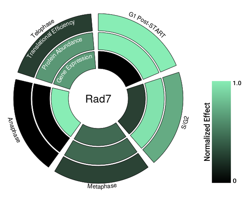 Circle plot not available