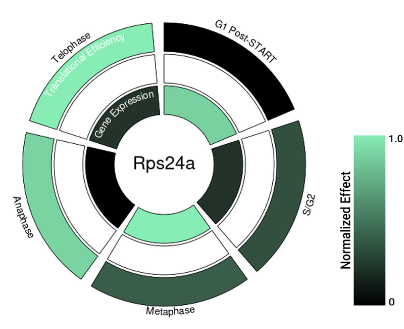Circle plot not available