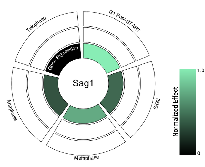 Circle plot not available