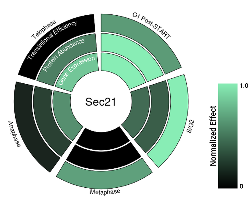 Circle plot not available