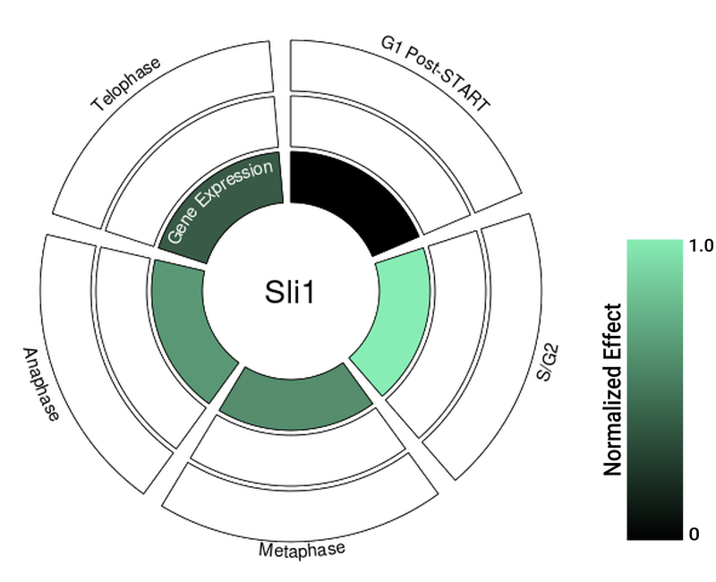 Circle plot not available