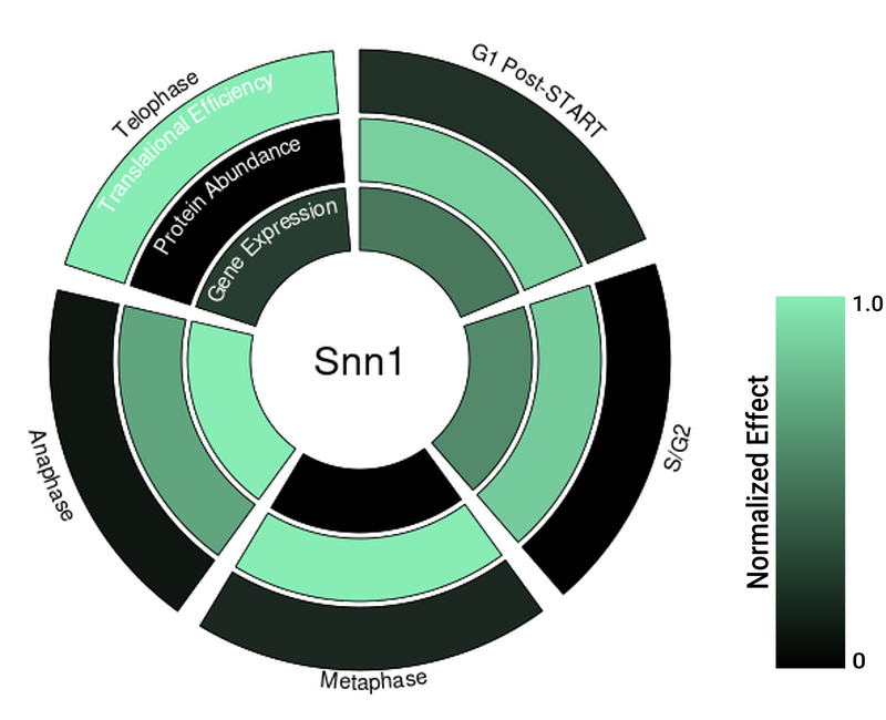 Circle plot not available