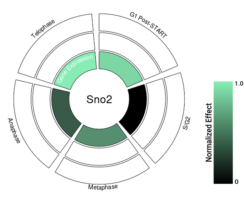 Circle plot not available