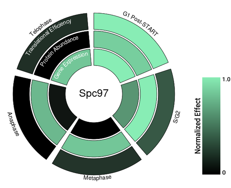 Circle plot not available