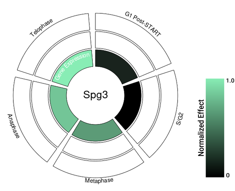 Circle plot not available