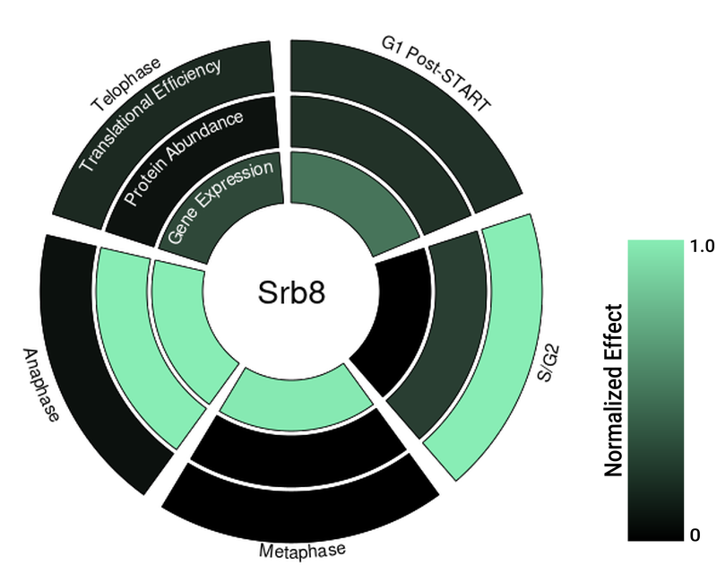 Circle plot not available