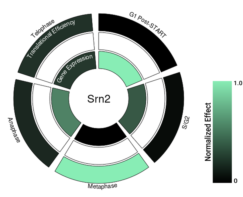 Circle plot not available