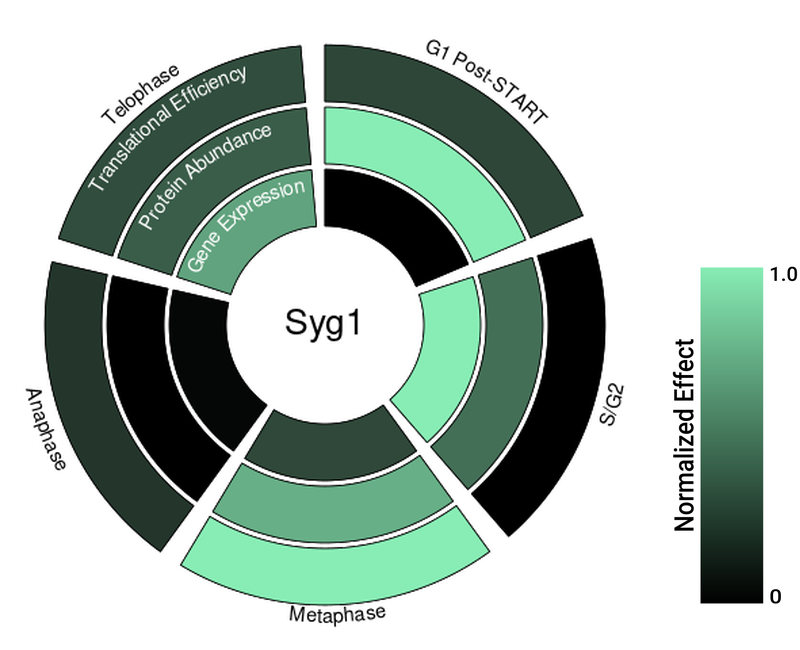 Circle plot not available