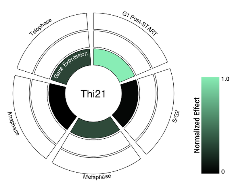 Circle plot not available