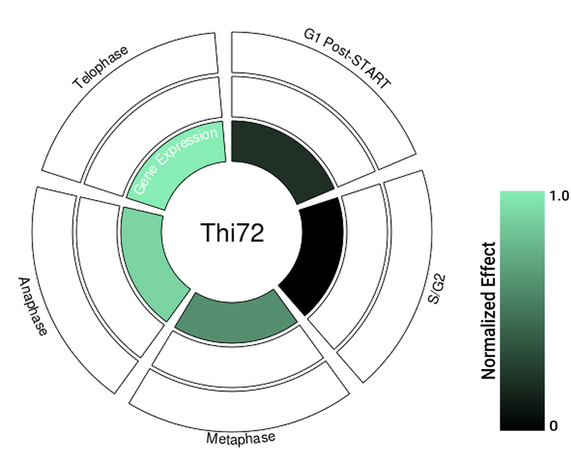 Circle plot not available