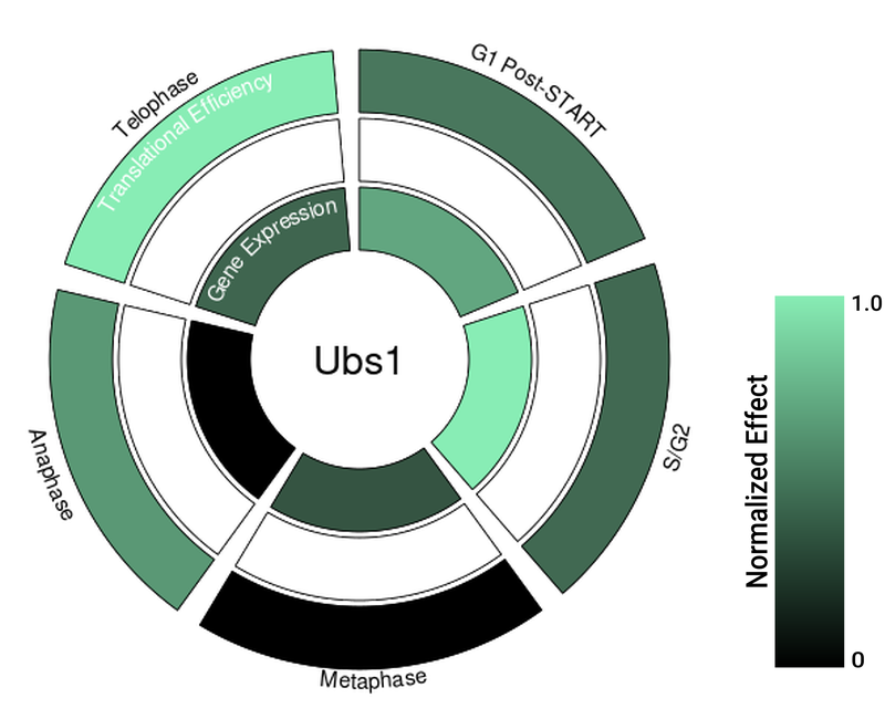 Circle plot not available