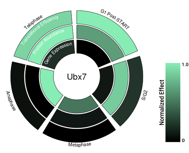 Circle plot not available